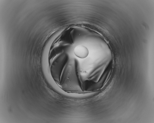 X0000113000881200909101754