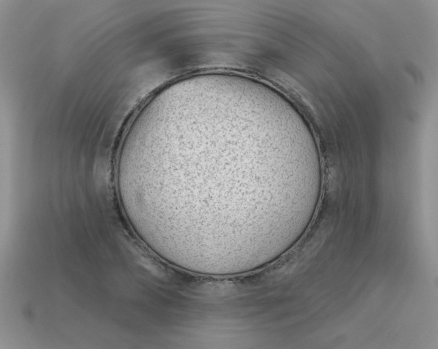 X0000113000882200909101754