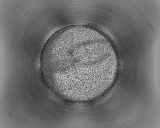 X0000113000883200909101754