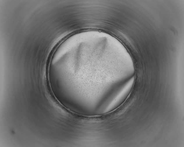 X0000113000884200909101754