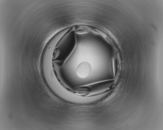 X0000113000885200909101754