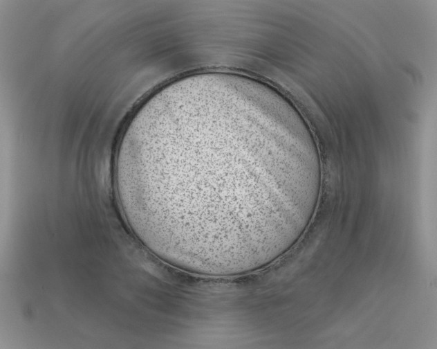 X0000113000886200909101754