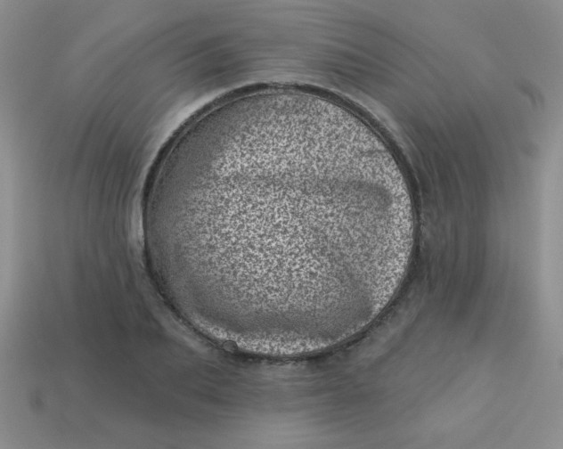 X0000113000887200909101754