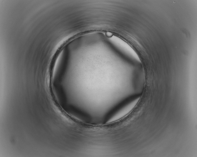 X0000113000888200909101754