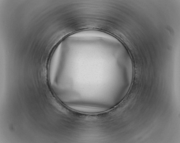 X0000113000890200909101754