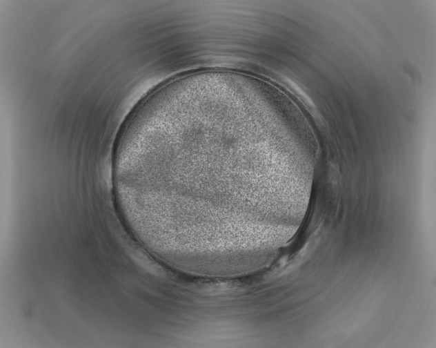 X0000113000891200909101754