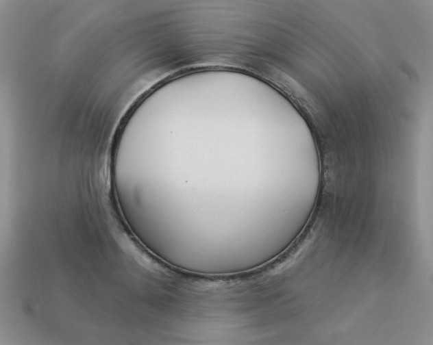 X0000113000892200909101754