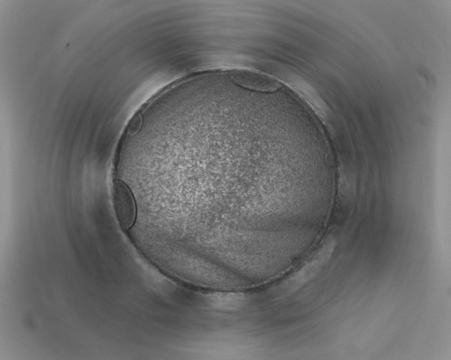 X0000113000893200909101754