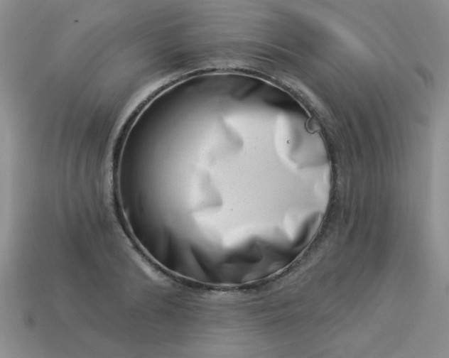 X0000113000894200909101754