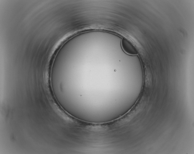 X0000113000896200909101754