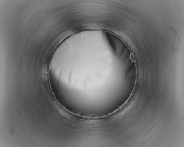 X0000113000897200909101754