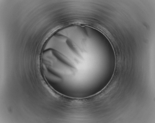 X0000113000898200909101754