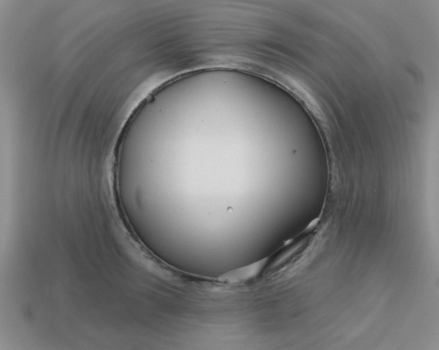 X0000113000899200909101754