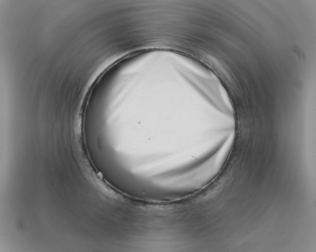 X0000113000900200909101754