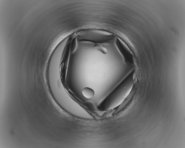 X0000113000901200909101754