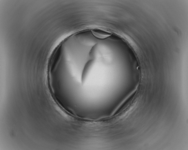 X0000113000902200909101754