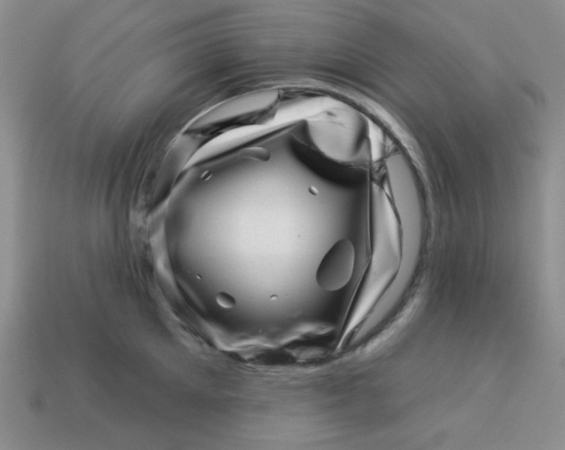 X0000113000905200909101754