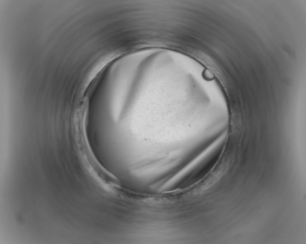 X0000113000906200909101754