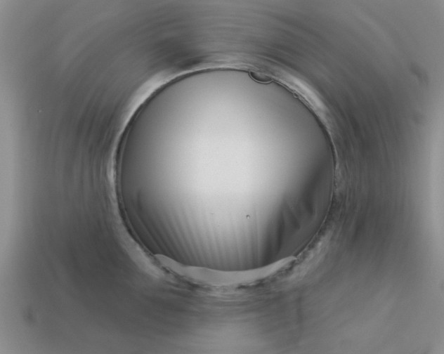 X0000113000907200909101754