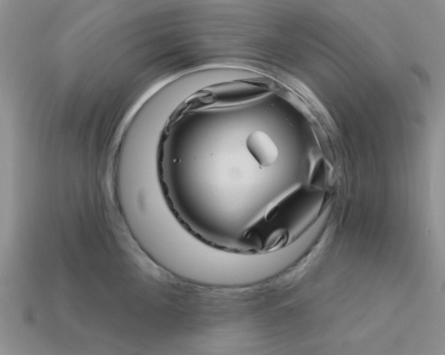 X0000113000908200909101754