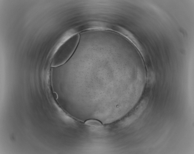 X0000113000909200909101753