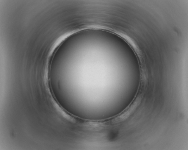 X0000113000910200909101753