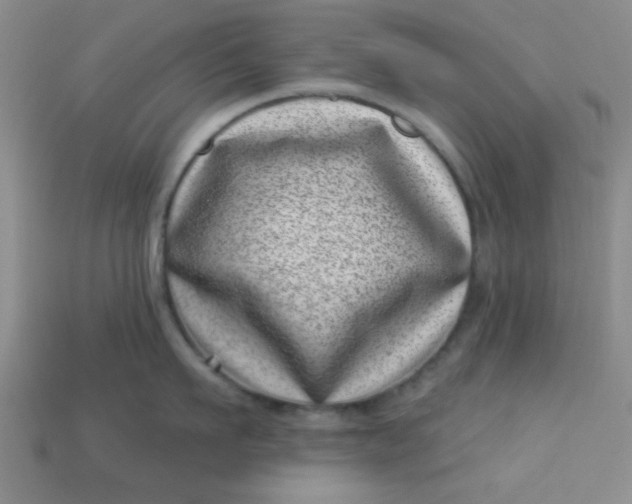 X0000113000911200909101753