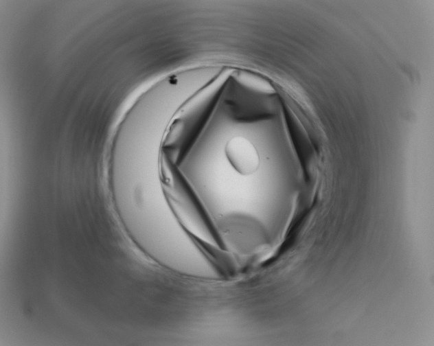 X0000113000912200909101753