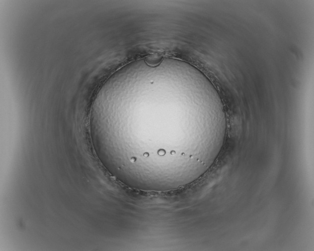 X0000113000913200909101753