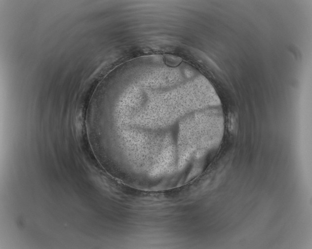 X0000113000915200909101753