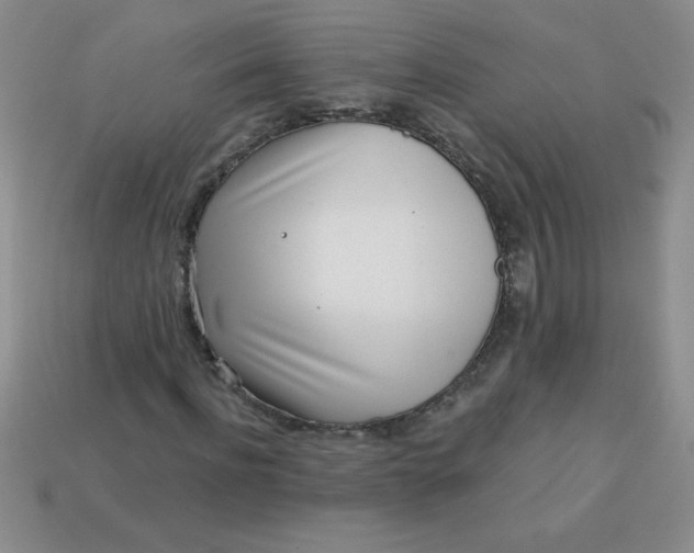 X0000113000916200909101753