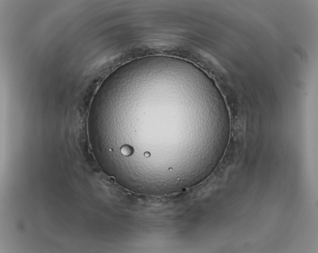 X0000113000917200909101753