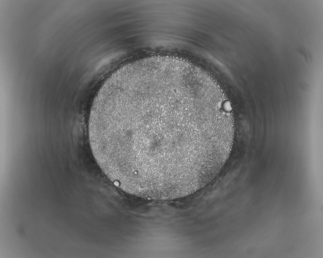 X0000113000918200909101753