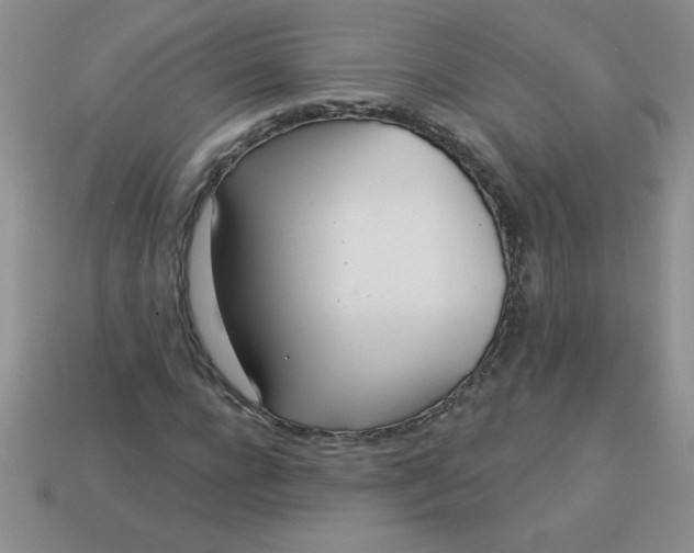 X0000113000920200909101753