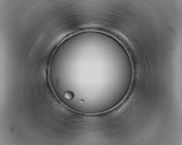 X0000113000921200909101753