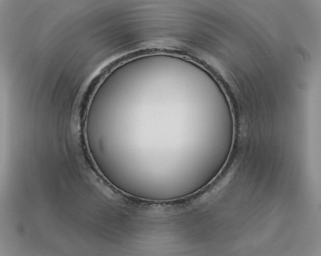 X0000113000923200909101753