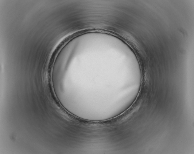 X0000113000924200909101753