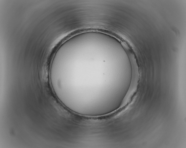 X0000113000925200909101753