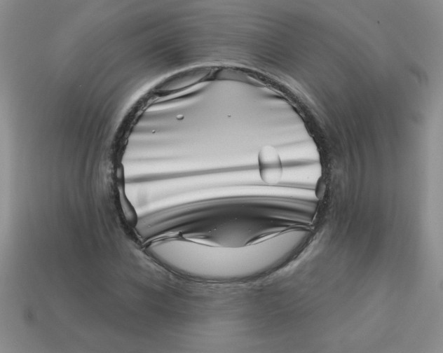 X0000113000926200909101753