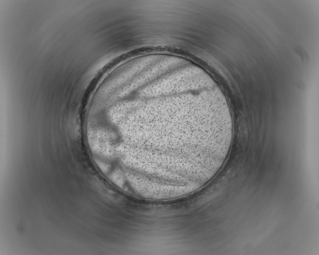 X0000113000927200909101753