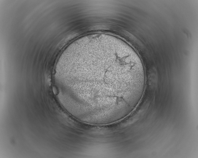 X0000113000929200909101753