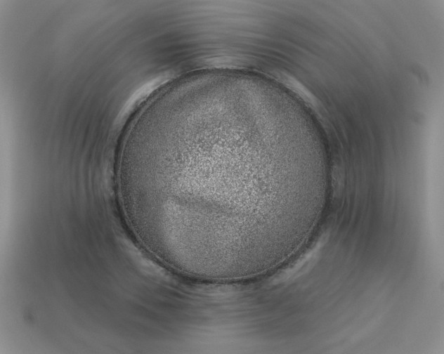 X0000113000930200909101753