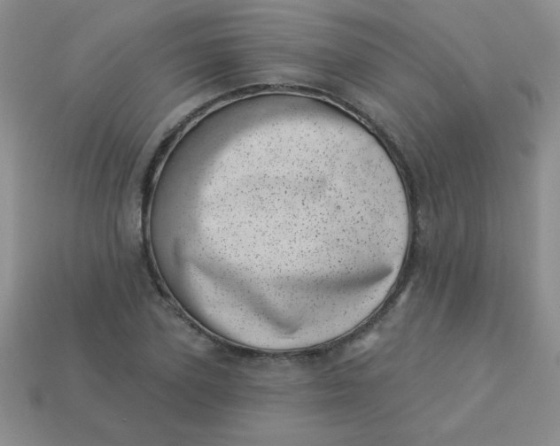 X0000113000931200909101753