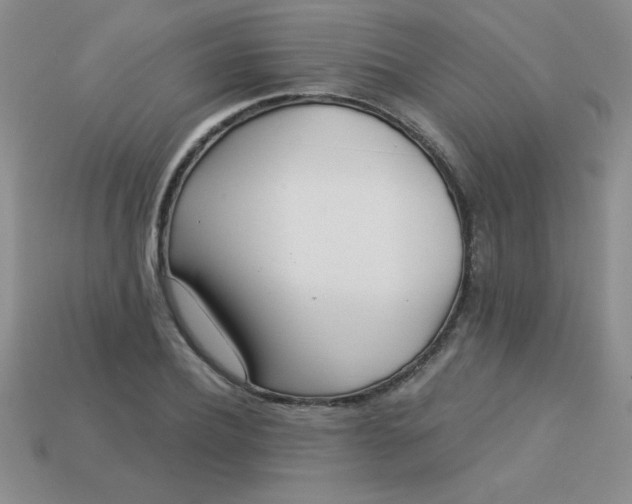 X0000113000932200909101753