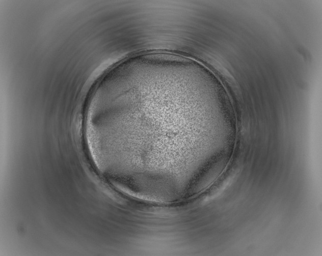 X0000113000933200909101753