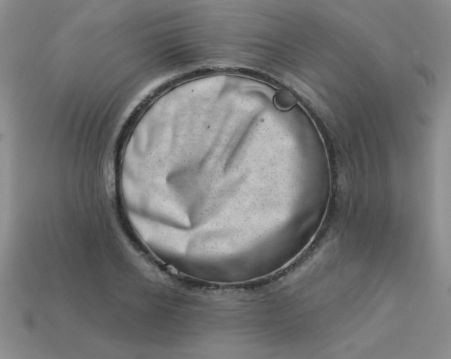 X0000113000934200909101753