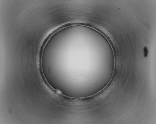 X0000113000935200909101753