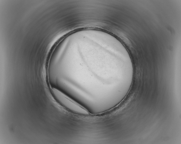 X0000113000936200909101753