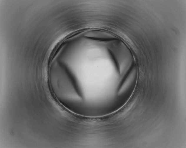 X0000113000939200909101753