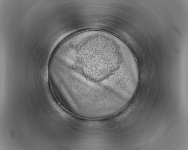 X0000113000940200909101753